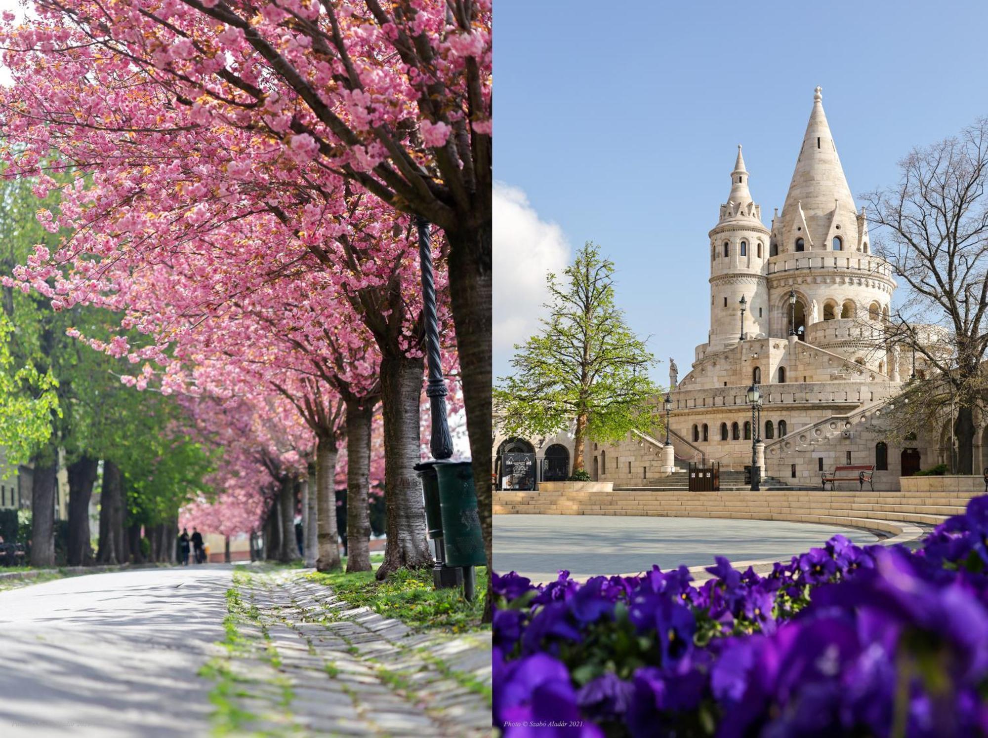 Asboth Taylor Apartment Budapest Ngoại thất bức ảnh